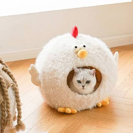 Cuccia Per Gatti