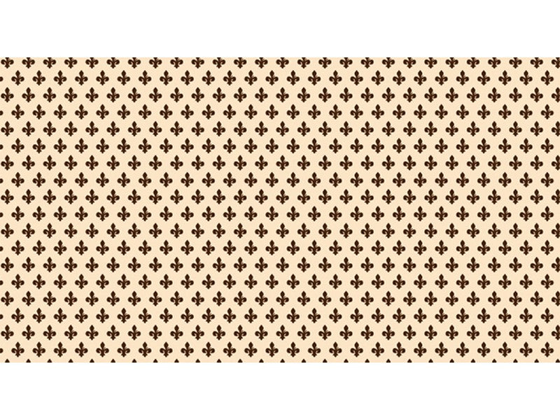 Bonita Plastica Adesiva in PVC 26D/02 Rotolo cm. 45x20 mt