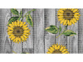 Tappeto Multiuso in PVC Aquamat 4004-2 Rotolo 65x15m