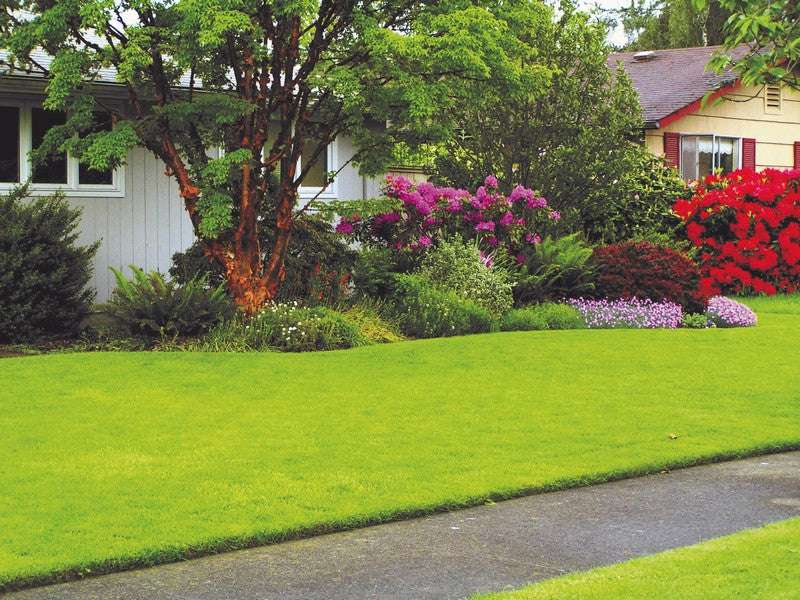 Prato Artificiale Rotolo 3x2 mt - giardino con prato verde curato e fiori colorati