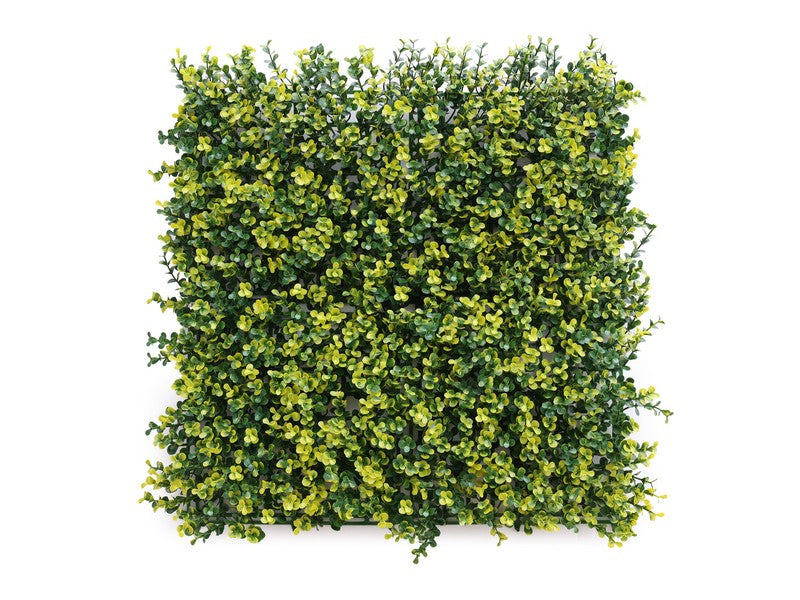 Siepe Artificiale da Parete Bosso 50x50 cm - vista frontale con foglie 3D in polietilene effetto naturale
