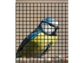 Rete Elettrosaldata Plastificata Nera Maglia 12x12 mm H 50 cm - utilizzo per voliera con uccello