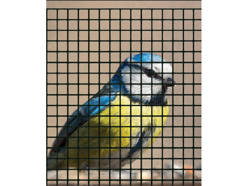 Rete Elettrosaldata Plastificata Nera Maglia 12x12 mm H 50 cm - utilizzo per voliera con uccello