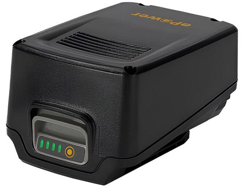 Alpina E24 Batteria Litio 20V 4Ah ePower