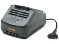 Alpina C 215 S Caricabatteria 20V Stiga ePower