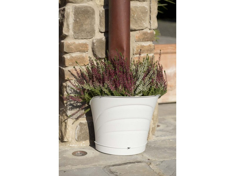 Bama Vaso Tulipano Set 2 Vasi Bianco 34,5x19x30h - ambientato su terrazza con erica
