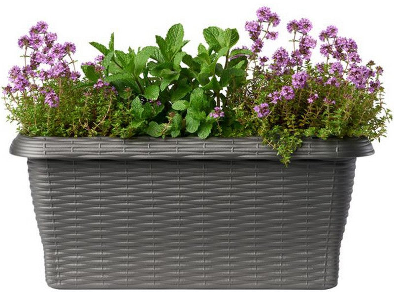 Bama Fioriera Rettangolare Effetto Paglia Antracite 50x20x17,5h - utilizzo con piante aromatiche