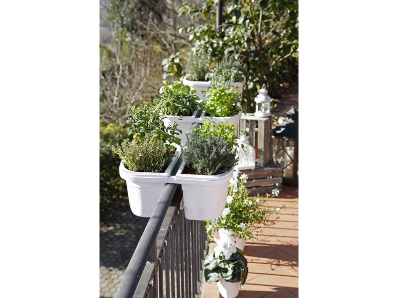 Bama Fioriera Doppia Klunia Panna 40x19,8x18,5h - ambientata su ringhiera con erbe aromatiche