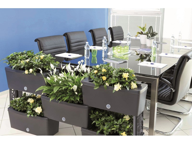 Bama Kit Fioriera Rettangolare Brick 5 Pz Tortora 60x23x27h - ambientato in ufficio con piante