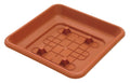 ICS Sottovaso Quadro Laurus 35x35cm - vista dall'alto