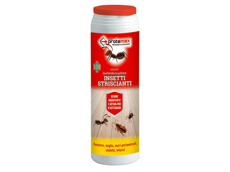 Insetticida in Polvere gr. 200