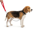 ZOOV Guinzaglio in Nylon e Catena Metallica Anti-morso Rosso per Cani - 120 cm