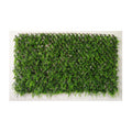 Siepe Artificiale Steccato e Erba 100x200cm