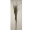 Scopa in Bamboo 210 cm 18 Rami - Confezione 20 pz