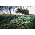 Rete Per Olive Antispina 32G 5 X 200M Calabria