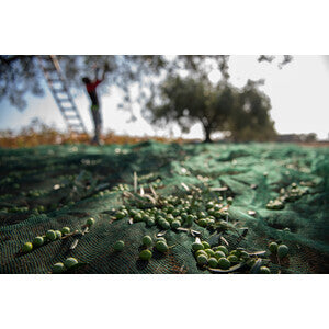 Rete Per Olive Antispina 32g 6x167M Calabria