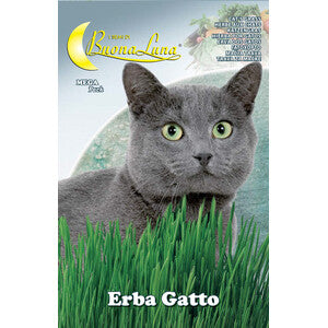 Semi Orto Erba Gatto 10 Pz