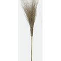 Scopa in Bamboo 210 cm 15 Rami - Confezione 20 pz