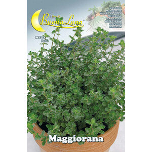 Semi Orto Maggiorana 10pz