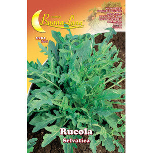Semi Orto Rucola Selvatica 10pz