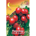 Semi Orto Pomodoro Ciliegino 10pz