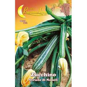 Semi Orto Zucchino Striato di Napoli 10pz