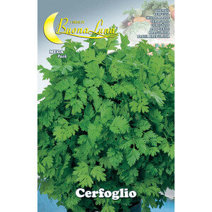 Semi Orto Cerfoglio 10 Pz