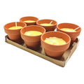 ART. CAP46410 CITRONELLA IN COCCIO POLLICINO 7XH6 CM 6 PZ 24pz