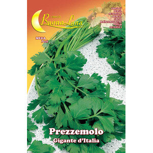 Semi Orto Prezzemolo Gigante D'Italia 10 Pz