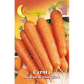 Semi Orto Carota Di Chioggia 10 Pz