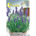 Semi Orto Lavanda 10pz