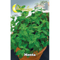 Semi Orto Menta 10 Pz