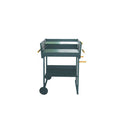 Barbecue a Carbone Kilauea 52x87xH90 cm