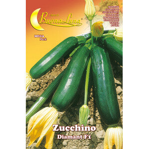 Semi Orto Zucchino Diamant 10 Pz