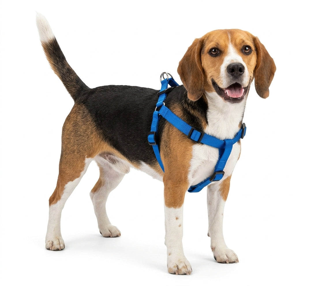 ZOOV Pettorina Regolabile in Nylon Blu per Cani - 20 mm x 40-58 cm
