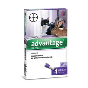 Advantage Spot On 80 Gatti oltre 4 kg