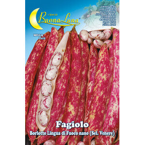 Semi Orto Fagioli Nani Borlotti 5pz