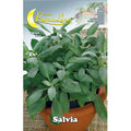 Semi Orto Salvia 10pz