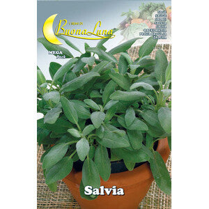 Semi Orto Salvia 10pz