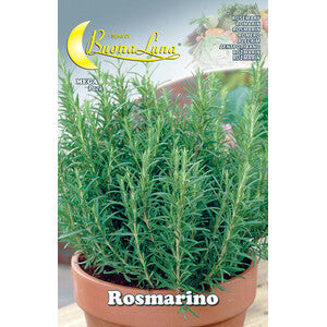 Semi Orto Rosmarino 10 Pz