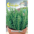 Semi Orto Rosmarino 10 Pz