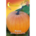 Semi Orto Zucca Quintale 10 Pz