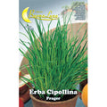 Semi Orto Erba Cipollina 10pz